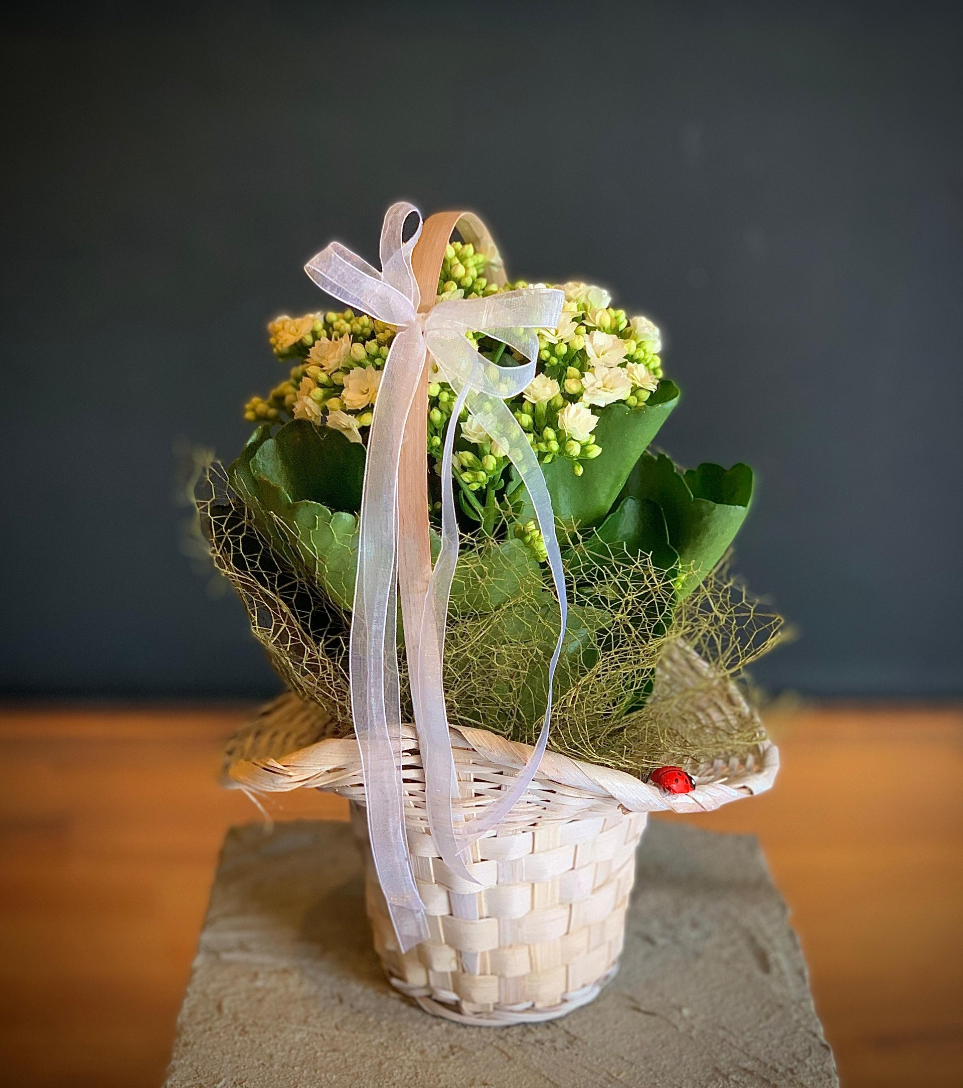 Anthurium (Fleur de flamant rose)