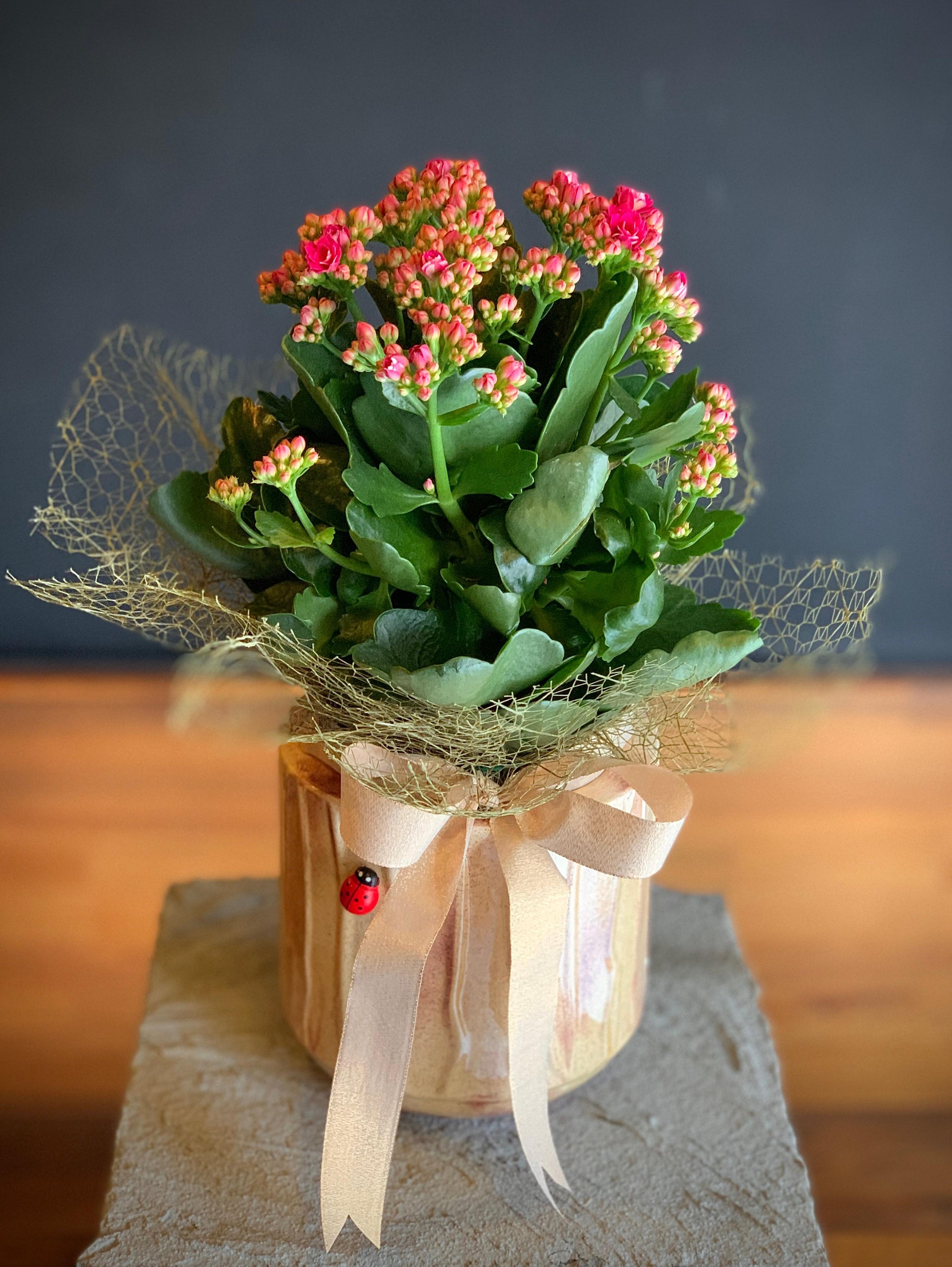 Anthurium (Fleur de flamant rose)