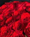 La Splendeur de l'Amour – 101 Roses Rouges