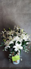 Bouquet de lys blancs