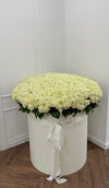 White Rose Box 401 Pcs