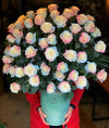 Bouquet de roses arc-en-ciel