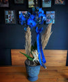 Magic Blue Mavi Orkide