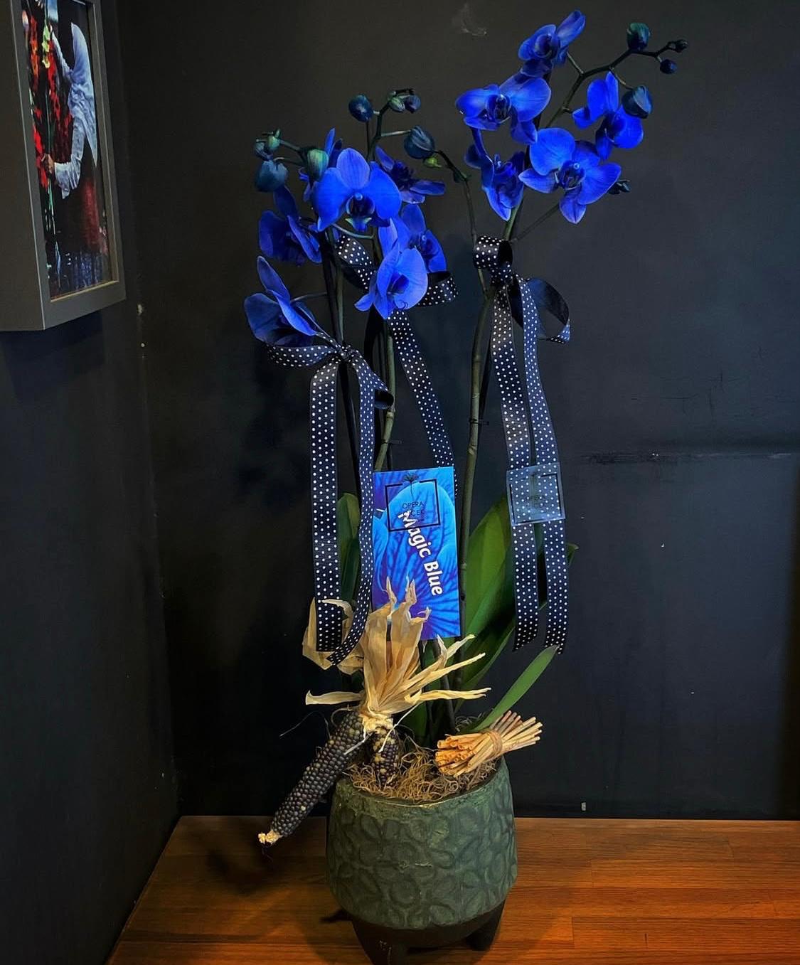 Bleu magique