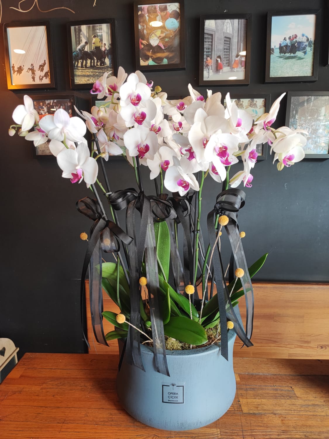 Zarafetin Kontrastı: Siyah Kurdeleli Beyaz Orkide