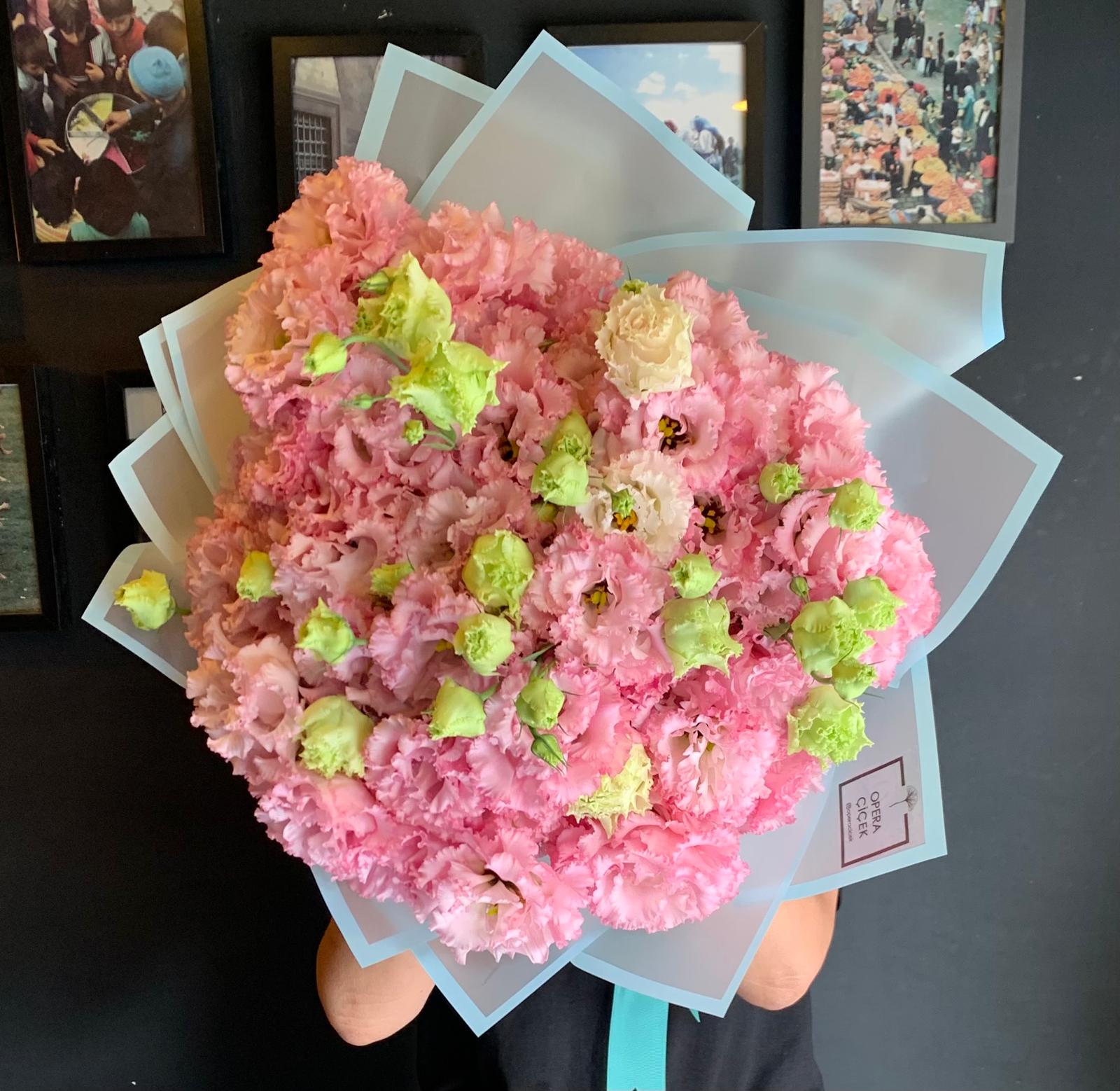 Pink Dreams