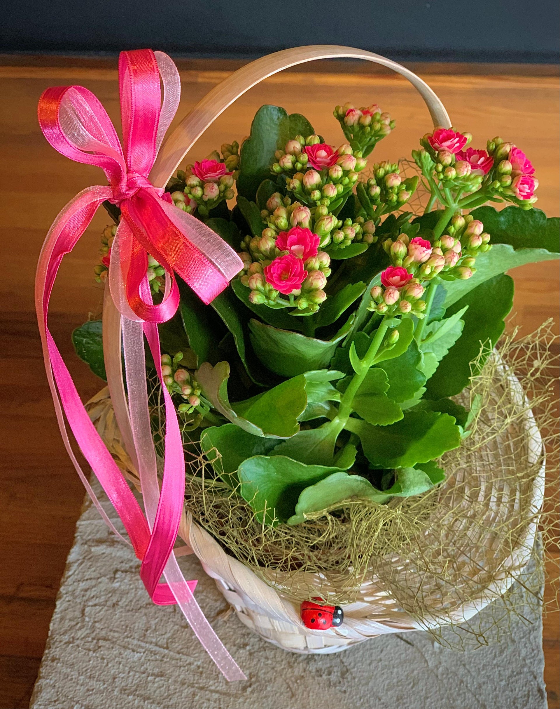 Beyaz Sepette Pembe Kalandiva / Calanchöe