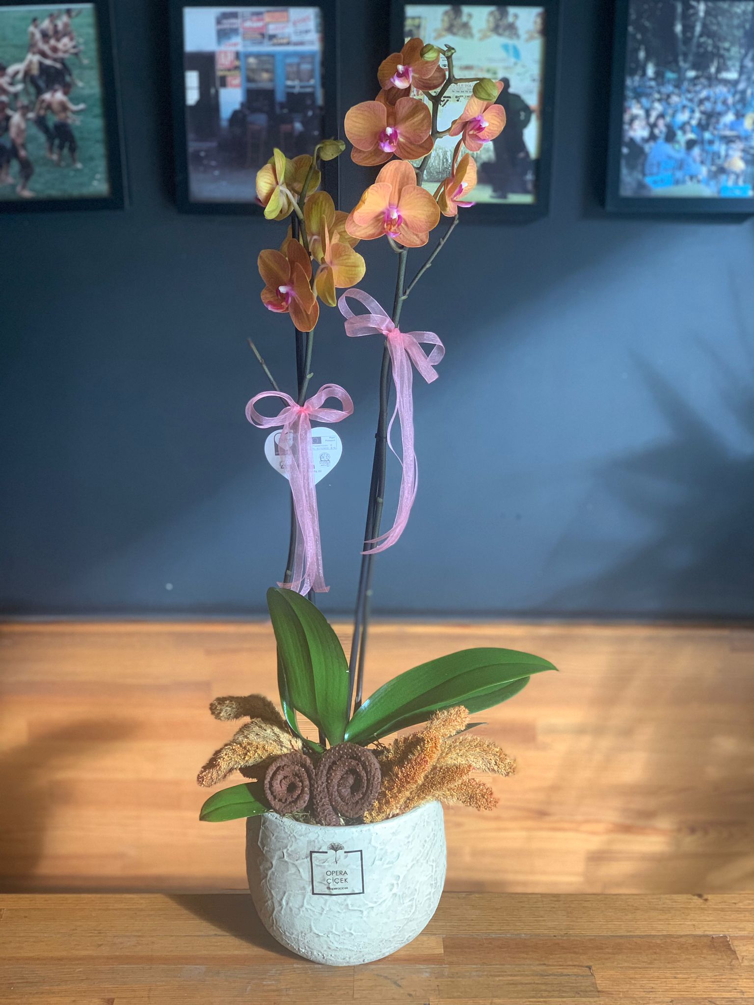 Sıcak ve Romantik - Turuncu/Şeftali Phalaenopsis Orkide