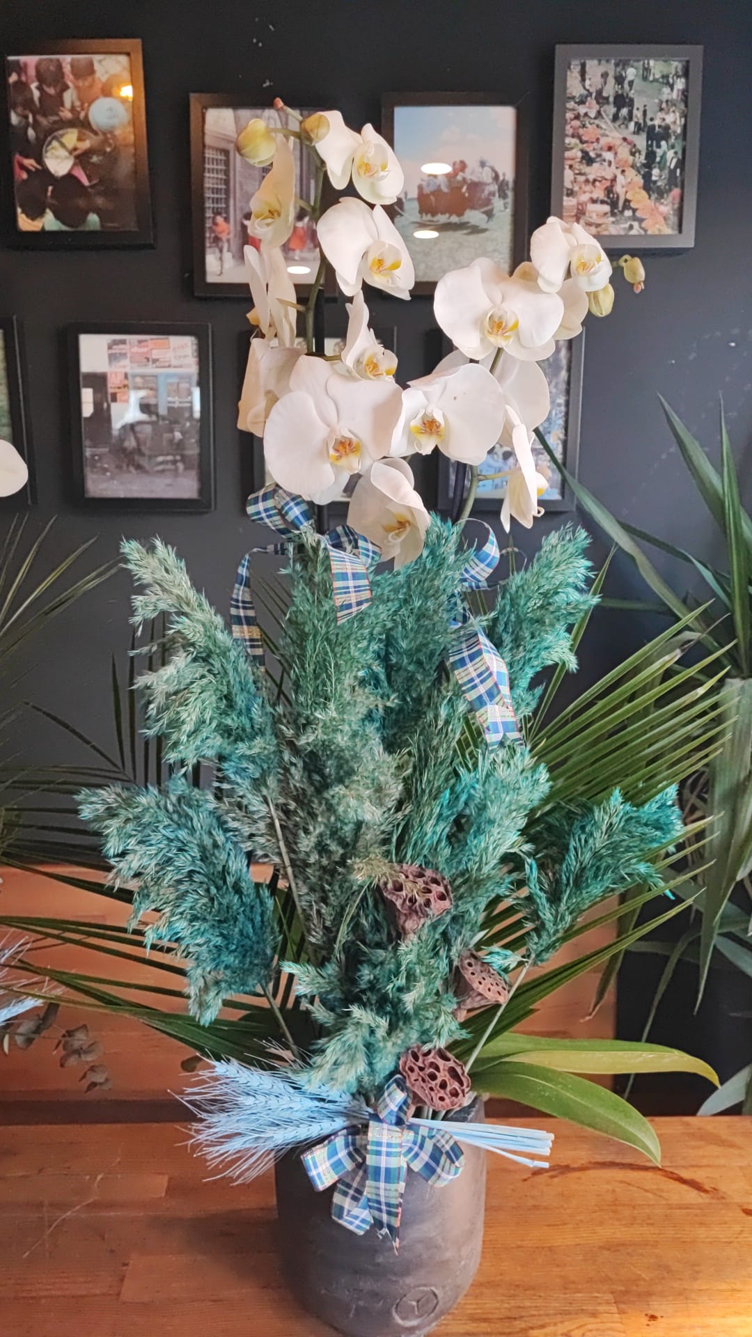 Derin Mavi Hissiyat: Lotus Tohumlu ve Turkuaz Kuru Çiçekli Orkide