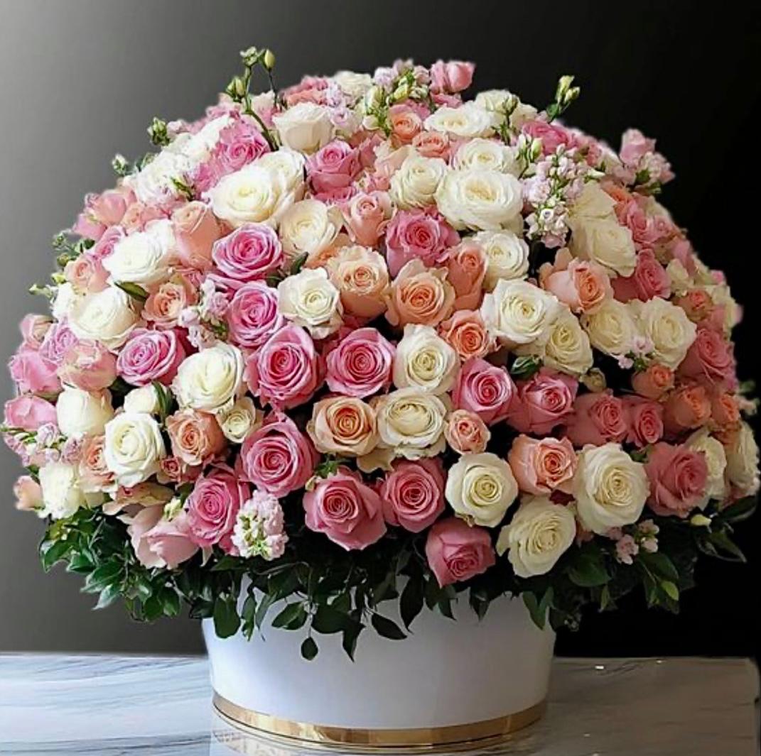 Gönül Kubbesi: Pembe ve Beyaz Güllerden Oluşan Dev Kutu Aranjmanı
