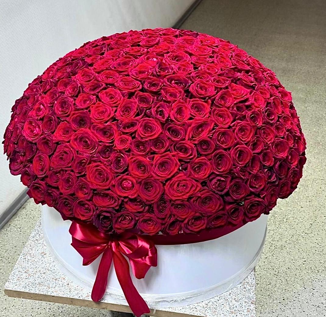 Ateş Topu: Yüzlerce Kırmızı Gülün Yuvarlak Dev Şöleni