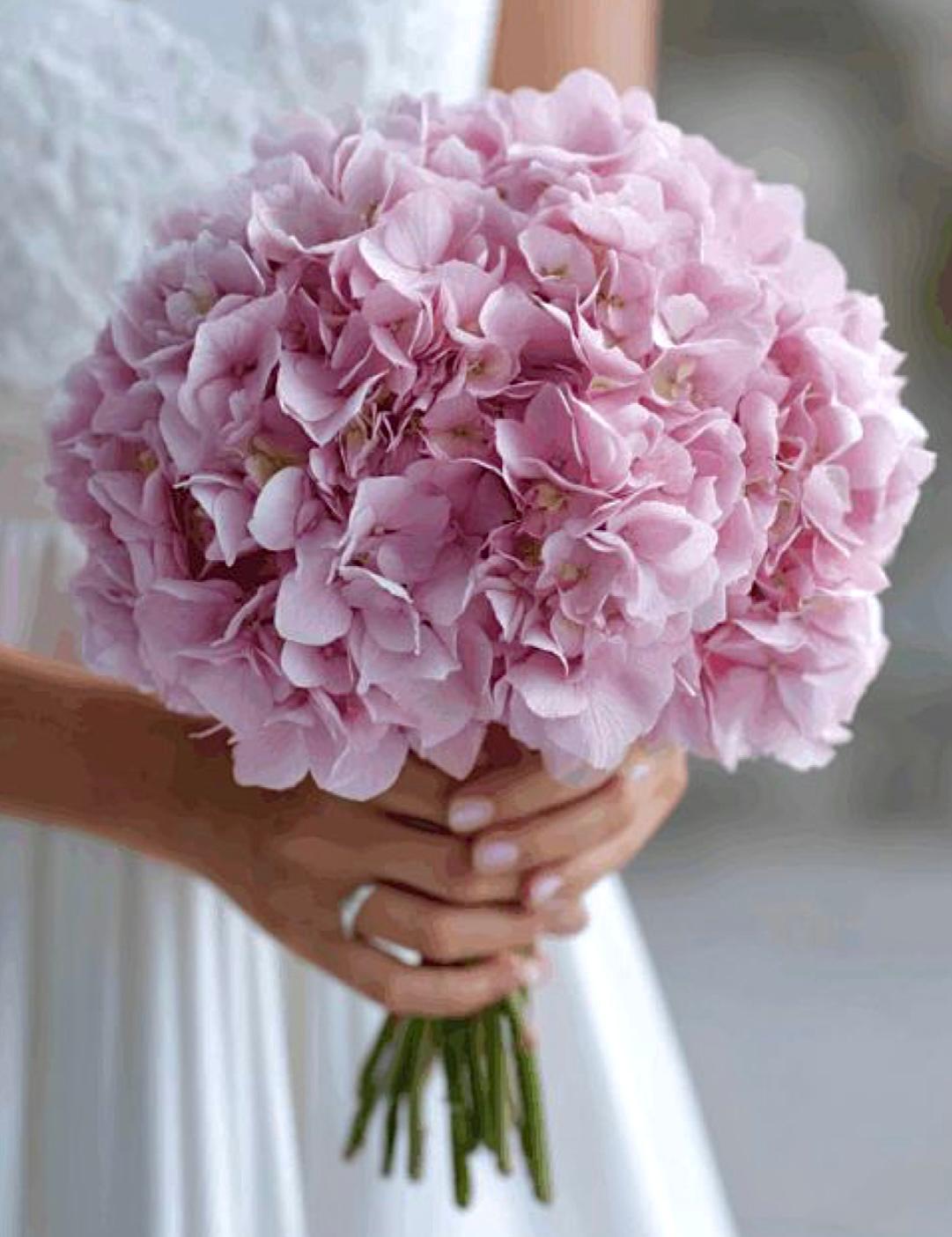 Pembe Büyük Top Ortanca Buketi