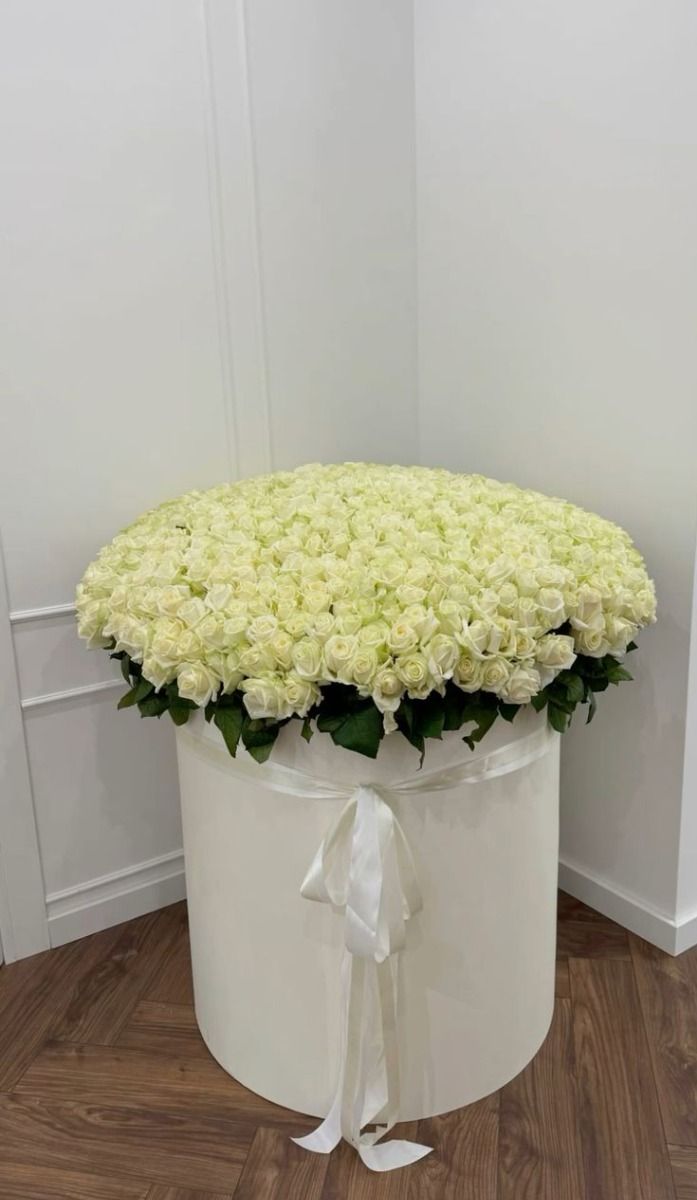 White  Rose Box 401 Pcs