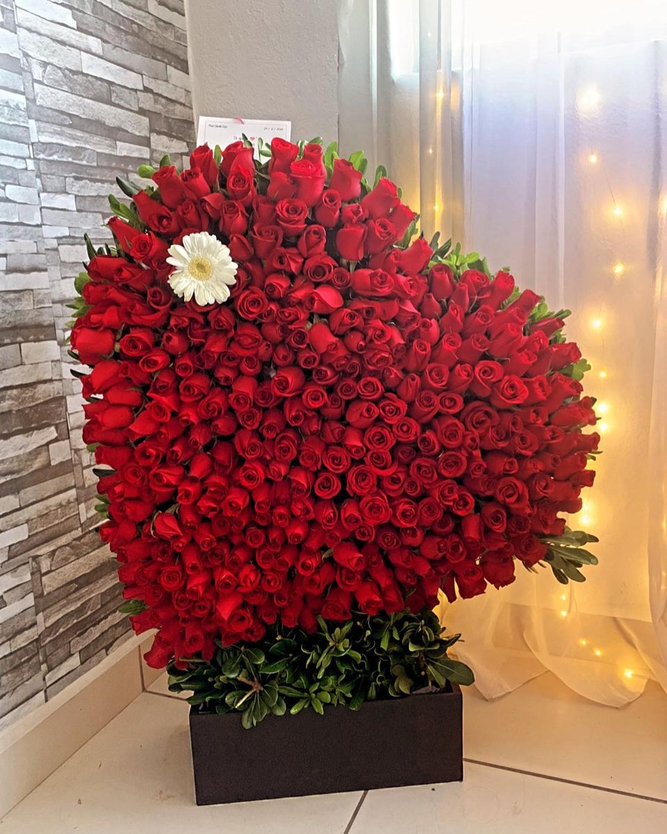 301 Red Rose  Hearth