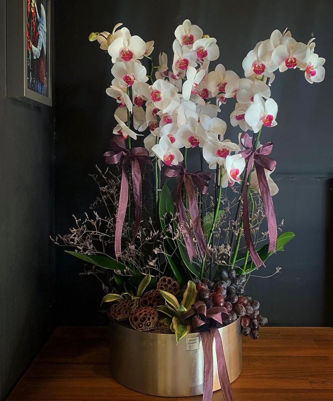 Metal vazo içerisinde 8 dal Phalaenopsis Orkide